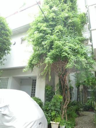 野尻マンション その他