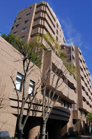 「ベルテ南青山Ⅰ」視認性良好ハイグレードビルでのコンパクトオフィスのご紹介!