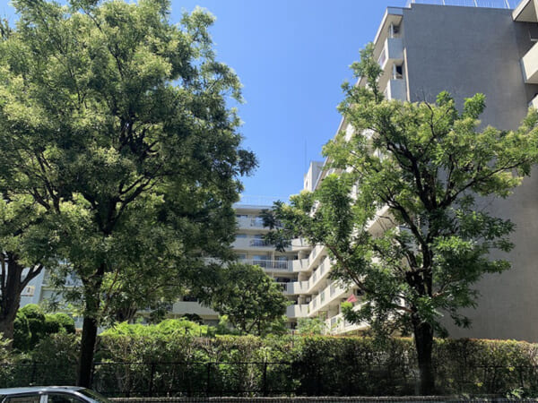 「南青ハイツ」今年２０２３年９月リフォーム完了！！緑豊かな敷地にある２ＤＫをご紹介☆