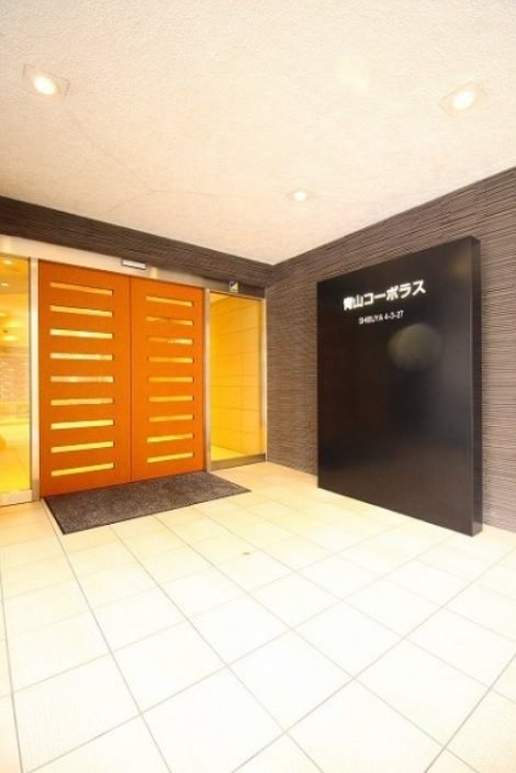 青山コーポラス その他