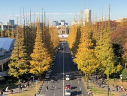 「セピア絵画館」窓から美しいイチョウ並木を一望できる眺望良好な最上階のワンルーム物件をご紹介☆彡